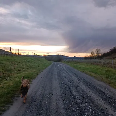 アパート Csendar Haz Diszel