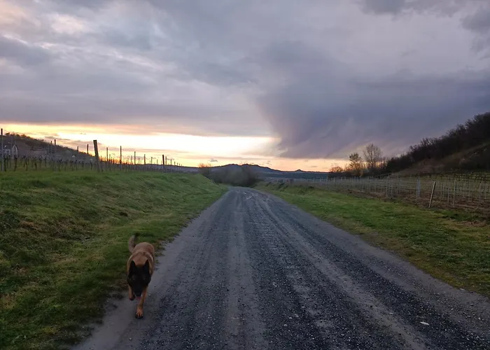 아파트 Csendar Haz Diszel