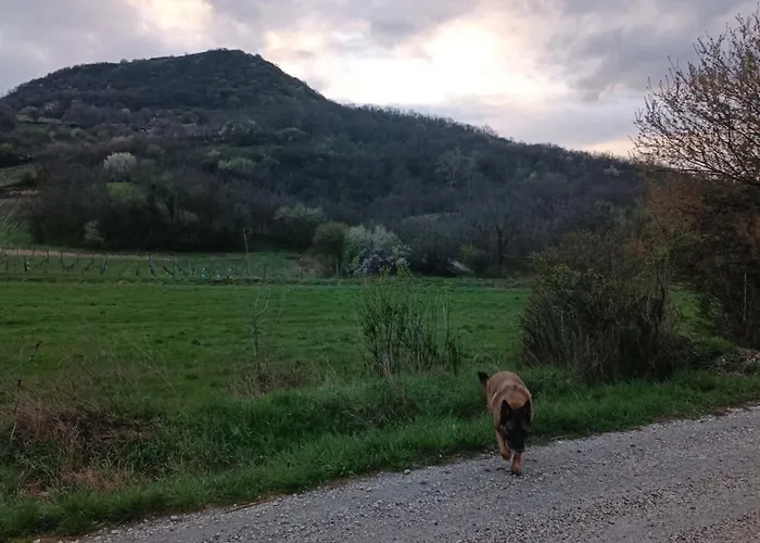 아파트 Csendar Haz